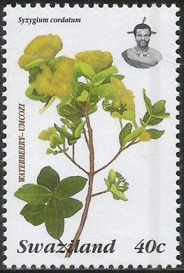 Waterberry