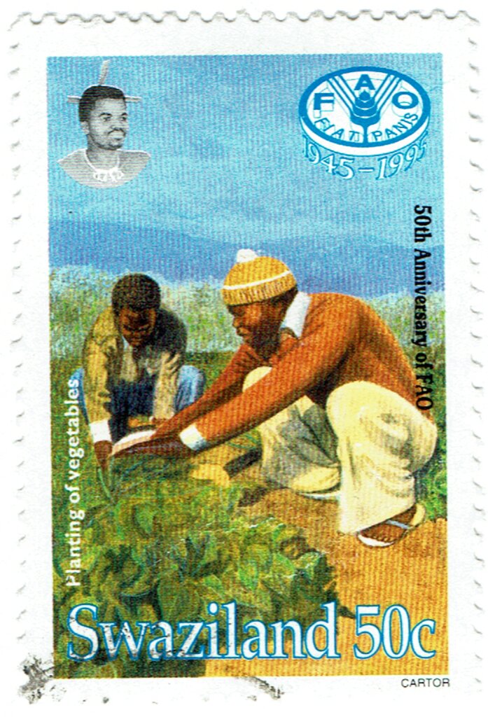 Planting Vegetables