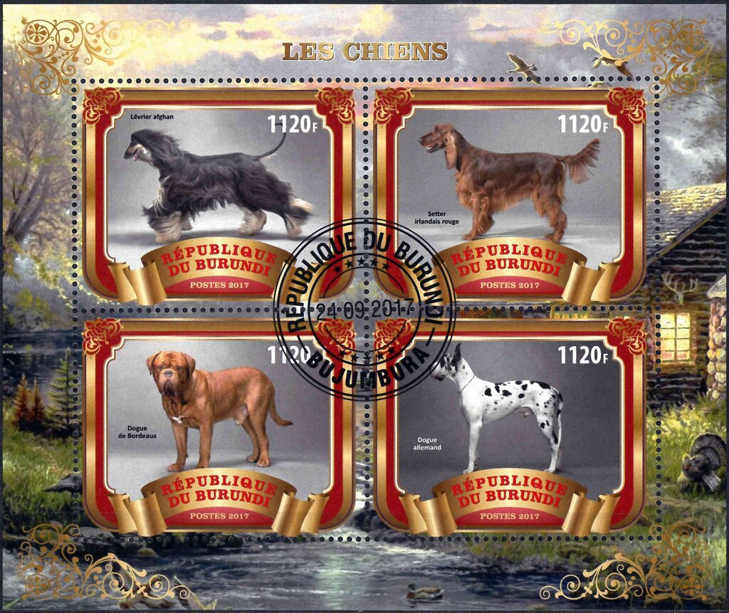 Dogs