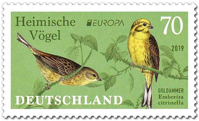 Europa (C.E.P.T.) 2019 : Yellowhammer (Emberiza citrinella)