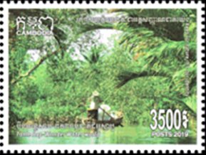 Boat in Mangroves