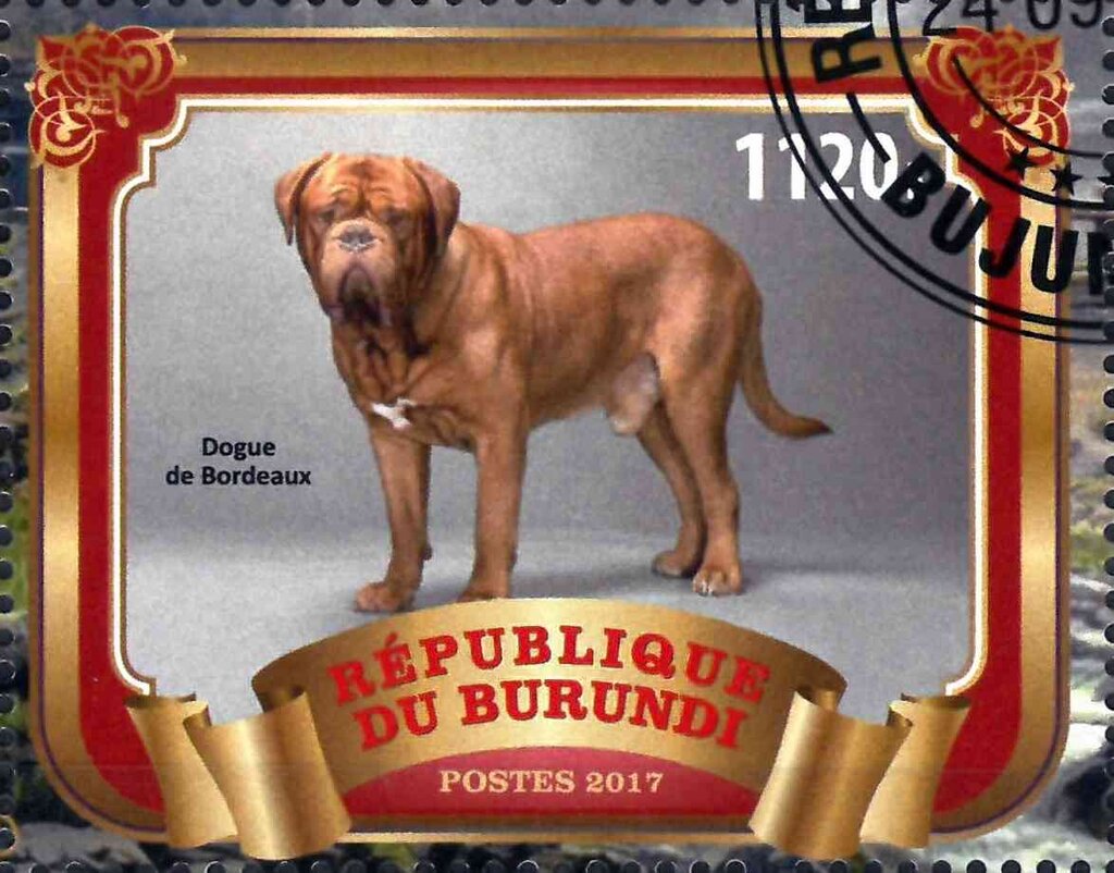 Dogue de Bordeaux