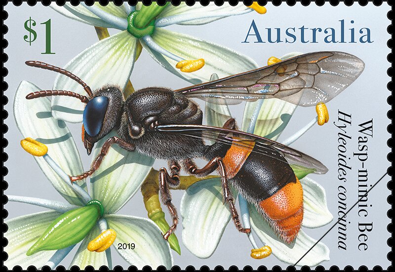 Wasp-Mimic Bee