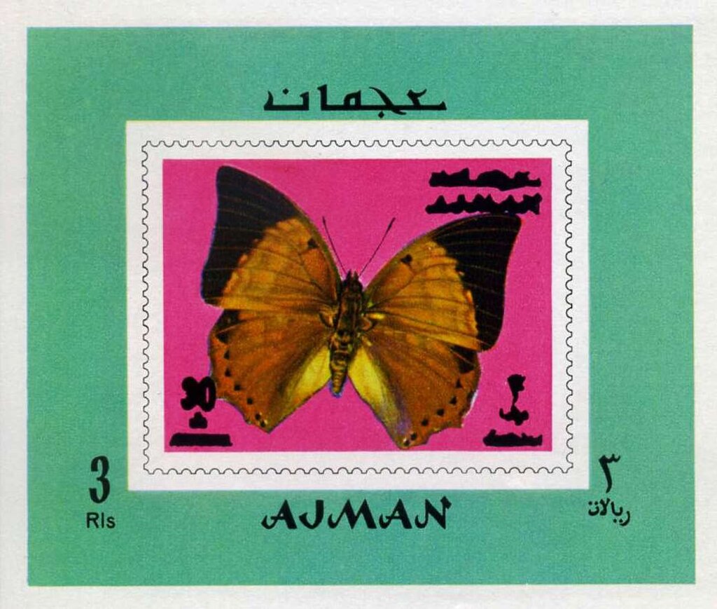 Tawny Rajah (Charaxes polyxena)