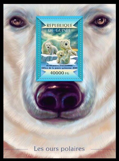 Ursus maritimus