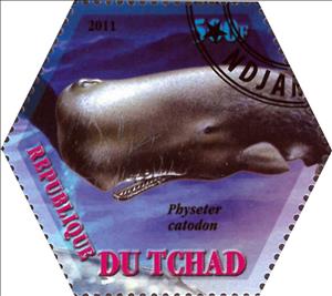 Stamp, Physeter catodon, Cinderellas,  , Animals (Fauna), Whales