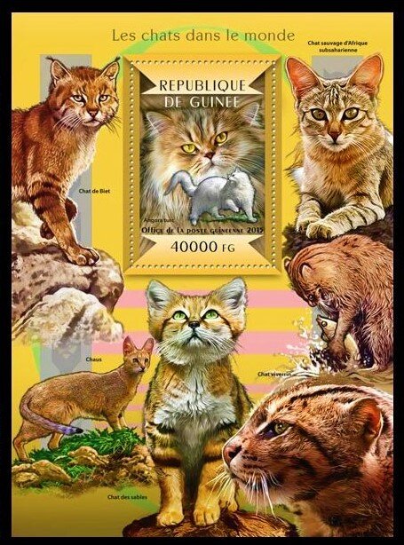 Cats