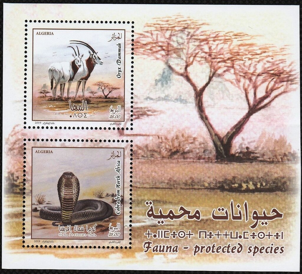 Protected Species of Algeria