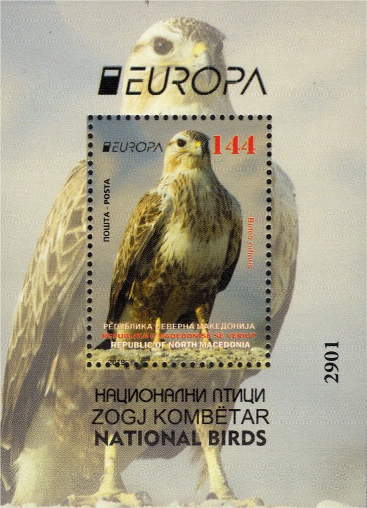 Long-Legged Buzzard (Buteo rufinus)