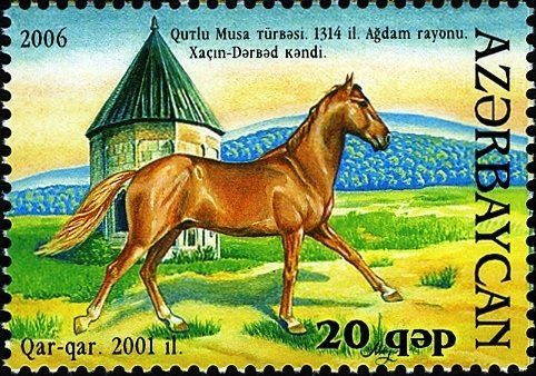 Karabakh Horse "Quar-quar" (Equus ferus caballus)