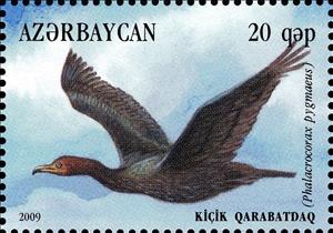 Stamp, Pygmy Cormorant (Phalacrocorax pygmaeus), Azerbaijan,  , Birds, Animals (Fauna)