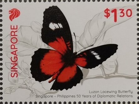 Common Rose Butterfly