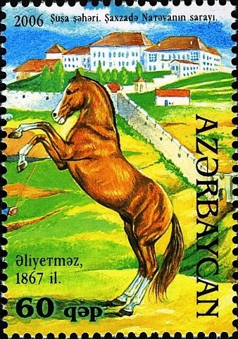 Karabakh Horse "Aliyetmaz" (Equus ferus caballus)