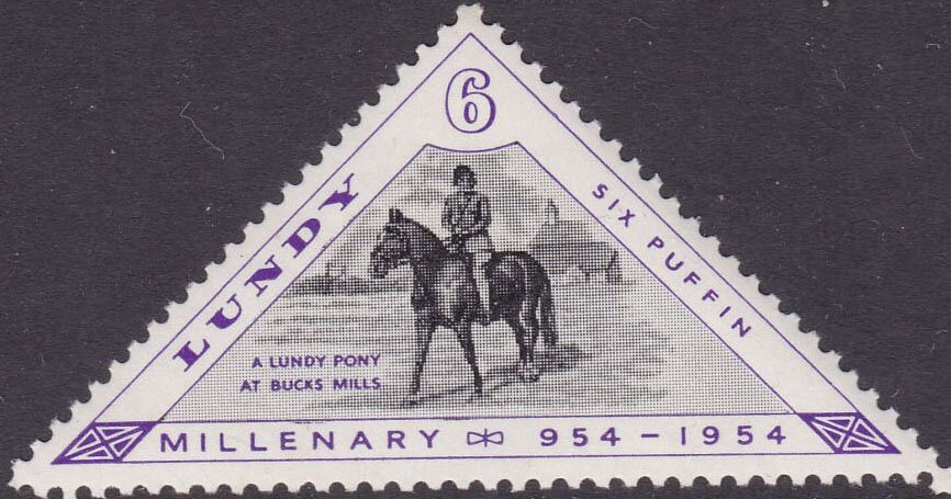 A Lundy pony at Bucks Mills