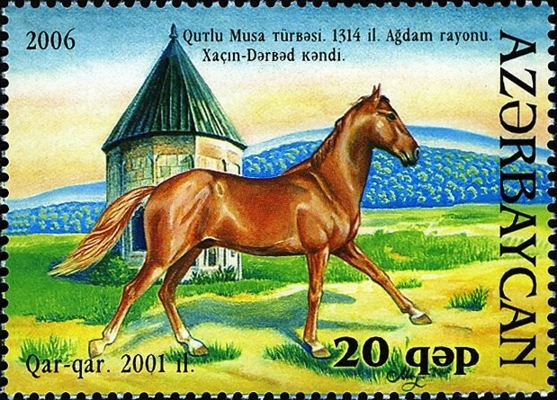 Karabakh Horse "Quar-quar" (Equus ferus caballus)