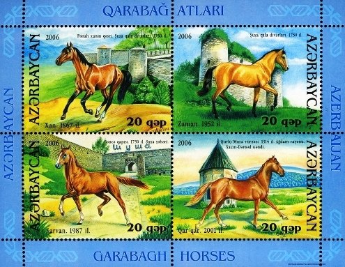 Karabakh Horse (Equus ferus caballus)