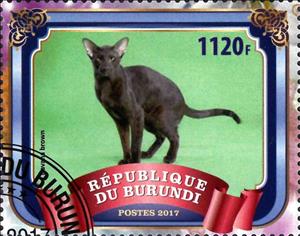 Stamp, Cat, Cinderellas,  , Animals (Fauna), Cats, Mammals