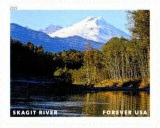 Stamp, Skagit River, United States of America,  , Landscapes, Rivers
