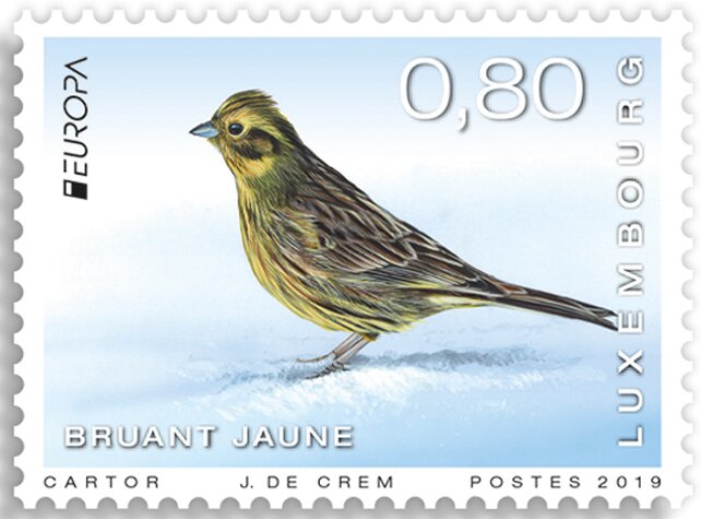 Yellowhammer
