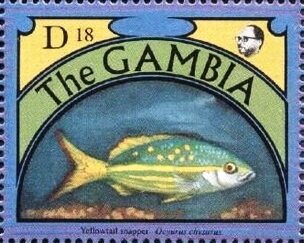Stamp, Yellowtail snapper, Gambia,  , Animals (Fauna), Fishes