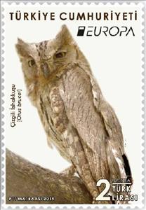 Stamp, Pallid Scops Owl (Otus brucei), Turkey,  , Animals (Fauna), Birds, Birds of Prey, C.E.P.T. / Europe, Owls