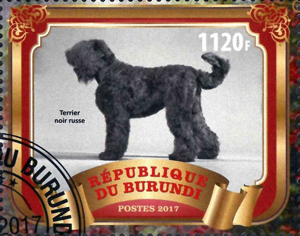 Terrier noir russe