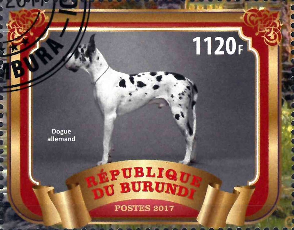 Dogue allemand