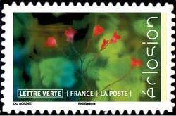 Stamp, Flowers In Bloom, France,  , Flowers, Plants (Flora)