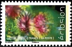 Stamp, Flowers In Bloom, France,  , Flowers, Plants (Flora)