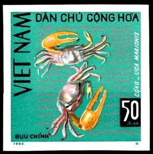 Se-tenant, Fiddler Crab (Uca marionis), Vietnam,  , Animals (Fauna), Crabs, Crustaceans, Sea Life