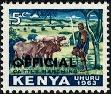 Cattle Breeding (Bos primigenius taurus)