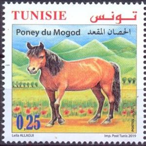 Stamp, Mogod Pony, Tunisia,  , Animals (Fauna), Horses, Mammals