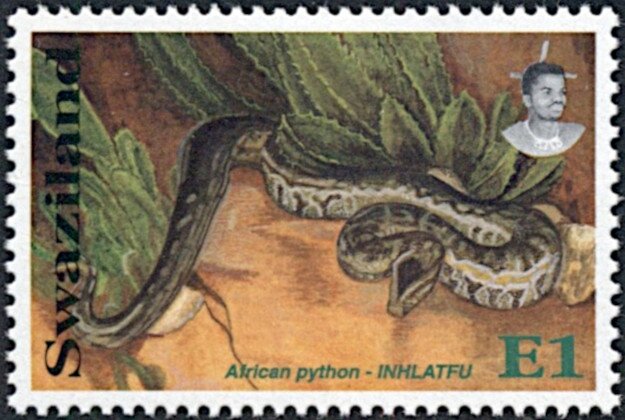 African Python