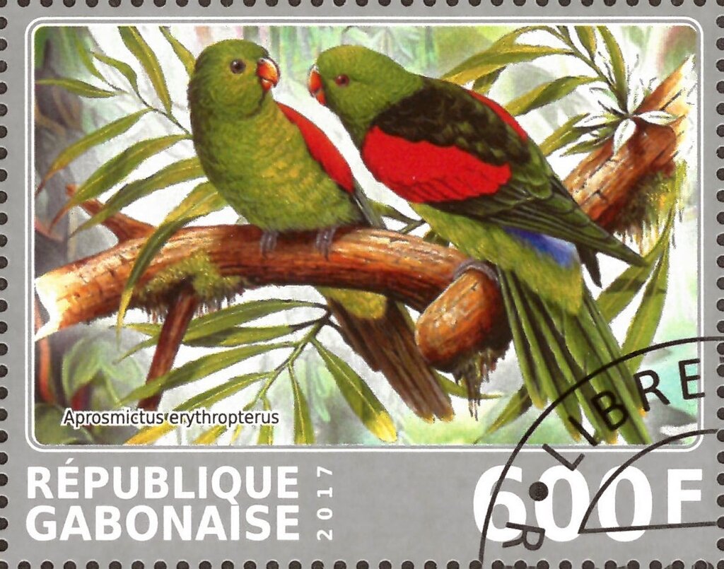 Aprosmictus erythropterus
