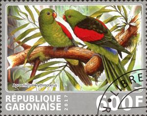 Stamp, Aprosmictus erythropterus, Cinderellas,  , Animals (Fauna), Birds, Parrots
