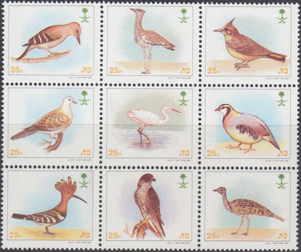 Birds