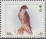Falcon.