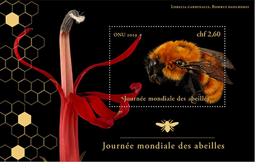 World Bee Day
