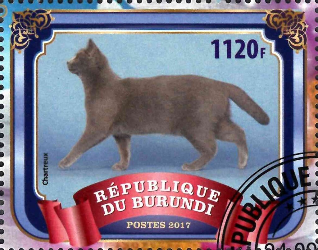 Chartreux