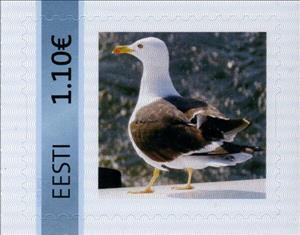 Stamp, Larus, Personalized and Private Mail Stamps,  , Animals (Fauna), Birds, Gulls