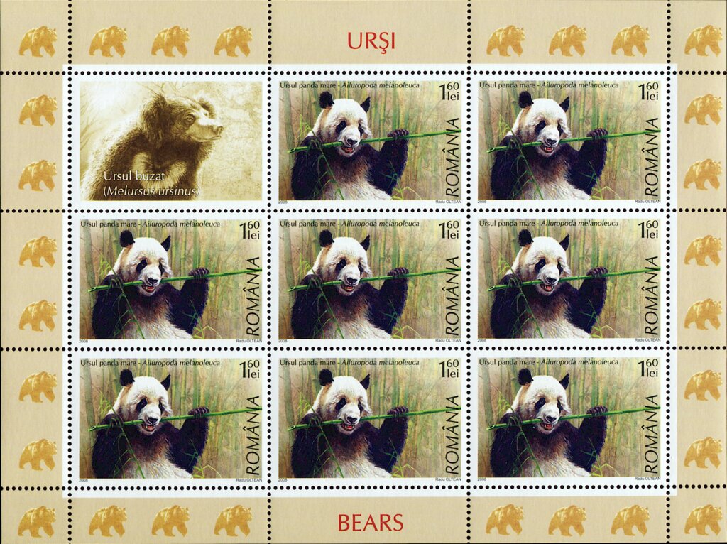Giant Panda (Ailuropoda melanoleuca) MS