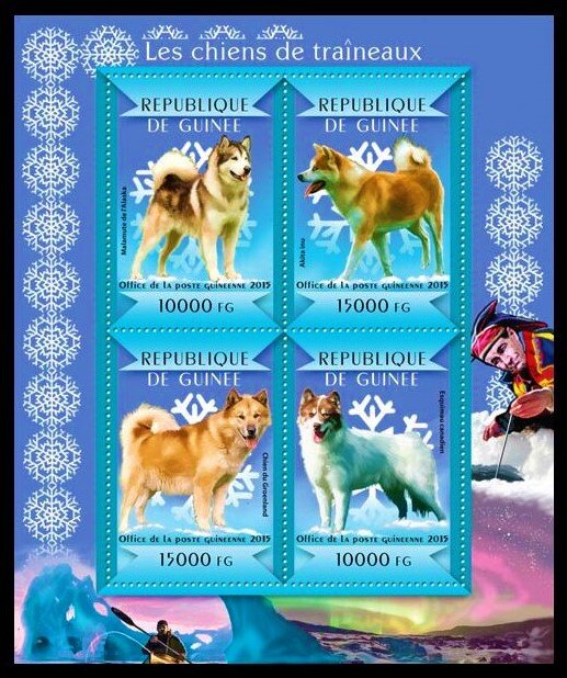 Sledge Dogs