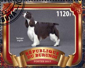 Stamp, Springer anglais, Cinderellas,  , Animals (Fauna), Dogs, Mammals