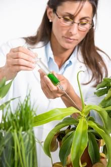Botanists