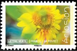 Stamp, Flowers In Bloom, France,  , Flowers, Plants (Flora)
