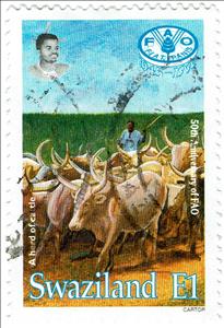 Stamp, Herd of Cattle, Swaziland,  , Agriculture, Cattle, Food