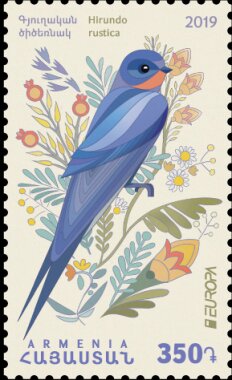Europa 2019 : Barn Swallow (Hirundo rustica)