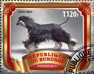 Stamp, Levrier afghan, Cinderellas,  , Animals (Fauna), Dogs, Mammals