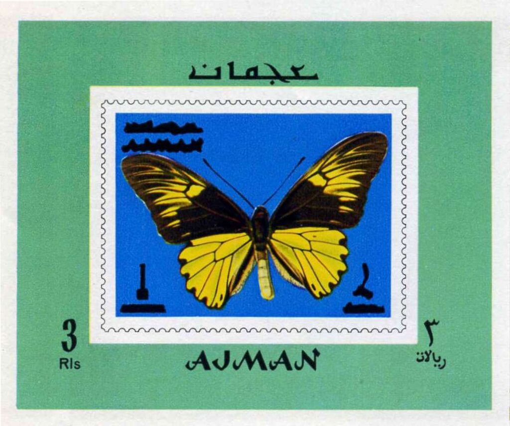 Malay Birdwing (Troides amphrysus)