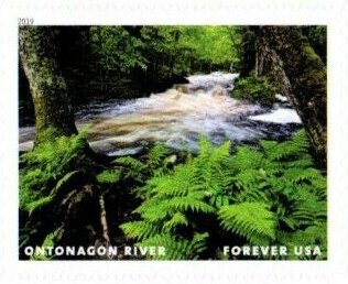 Stamp, Ontonagon River, United States of America,  , Landscapes, Rivers
